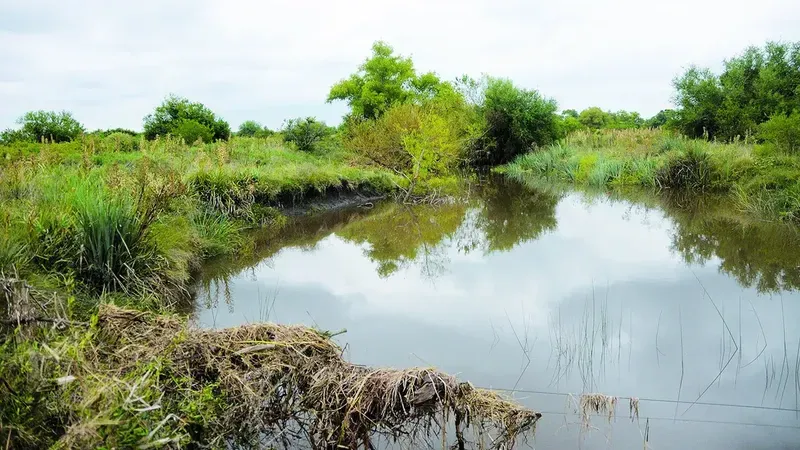 Foto sobre Tragedia en Lavalleja: niño de 9 años y joven de 18 murieron ahogados en un tajamar en Cuchilla de Silvera