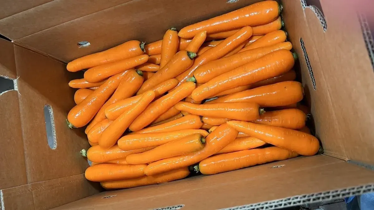 Foto sobre Después del temporal de Salto, advierten que los daños en los cultivos podrían impactar en los precios de frutas y verduras durante los próximos meses
