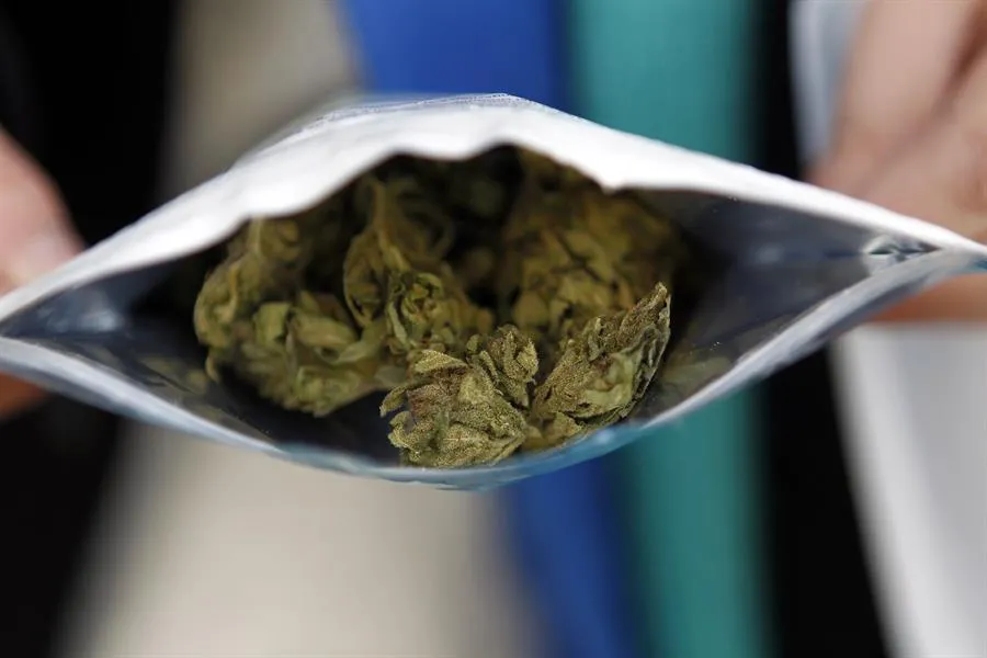 Foto sobre Uruguay evalúa habilitar la compra legal de cannabis a extranjeros que visiten el país