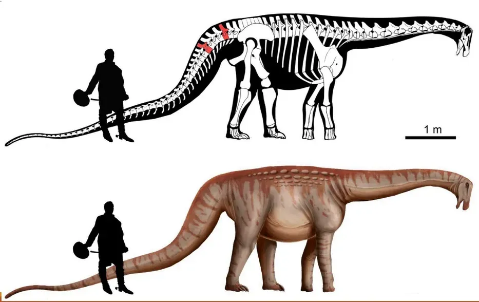 Foto sobre Descubren una nueva especie de dinosaurio gigante en Uruguay que rondaba en lo que hoy es Paysandú