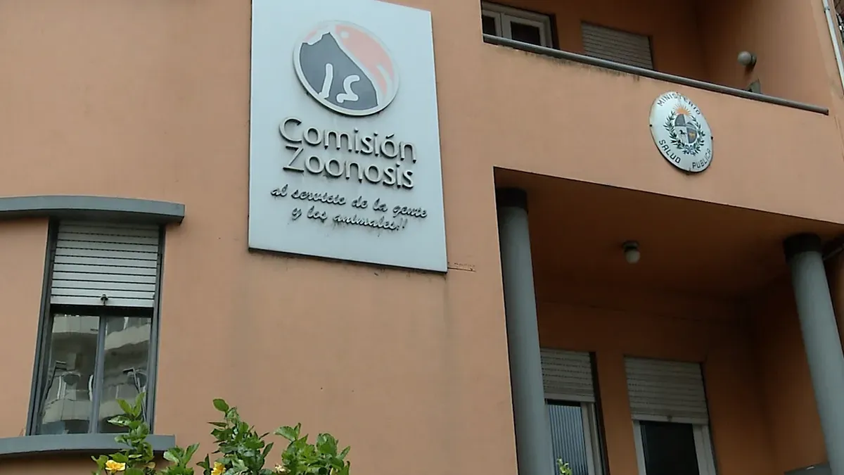 Foto sobre Murciélago con rabia en Montevideo activa vacunación gratuita de mascotas en Montevideo