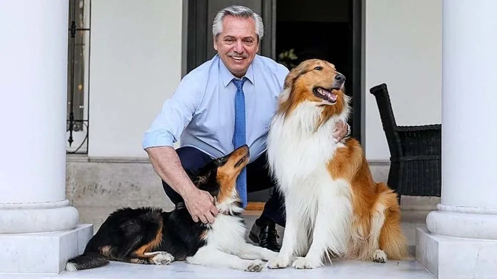 Foto sobre Alberto Fernández despide a su perro Dylan y recibe fuertes críticas en redes
