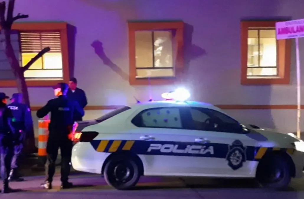 Foto sobre Sorprendido al saltar un muro con objetos hurtados: imputan a un hombre de 28 años