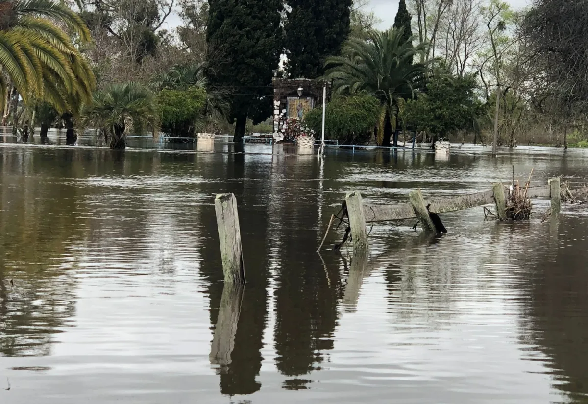 Foto sobre Dramáticas inundaciones en Melo y Río Branco: familias evacuadas, viviendas afectadas y rescates en medio de la creciente