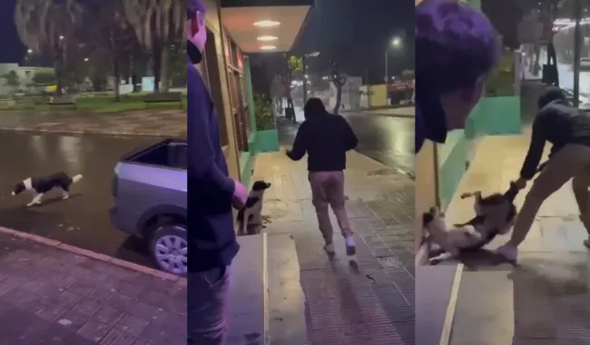 Foto sobre Un video viral desató una denuncia por presunto maltrato a un perro frente al Cine Municipal