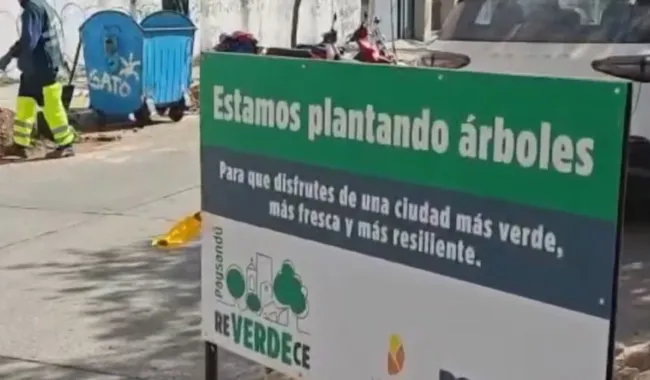 Foto sobre Una ciudad con más sombra: Paysandú plantará hasta 12.000 árboles para enfrentar el calor