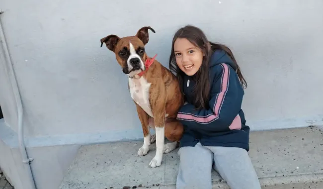 Foto sobre Buscó a su perra durante casi un año, la encontró en una casa y asegura que le pidieron dinero para devolvérsela. La policía intervino y el animal fue recuperado