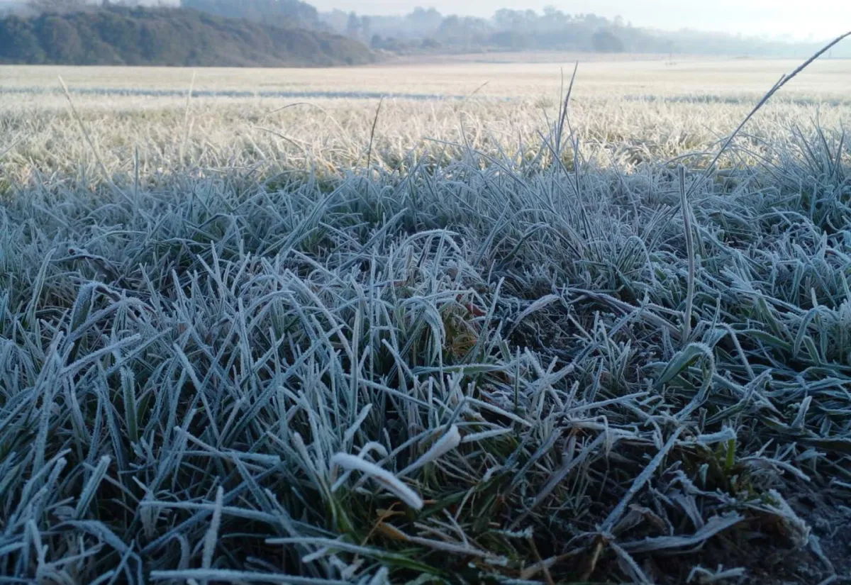 Foto sobre El invierno dará una breve tregua: cuáles serán los dos días con temperaturas más agradables